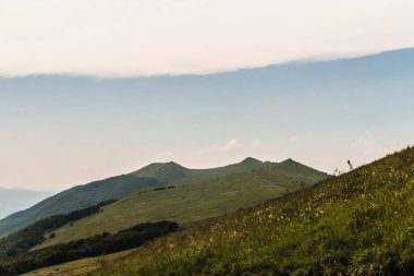 Polonya 'daki Bieszczady Dağlarında Wetlinska Polonyna