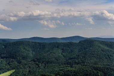 Polonya 'daki Bieszczady Dağlarında Wetlinska Polonyna