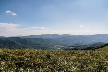 Polonya 'daki Bieszczady Dağlarında Wetlinska Polonyna
