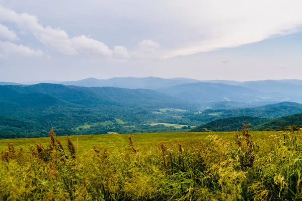 Wetlinska Polonyna Het Bieszczady Gebergte Polen — Stockfoto