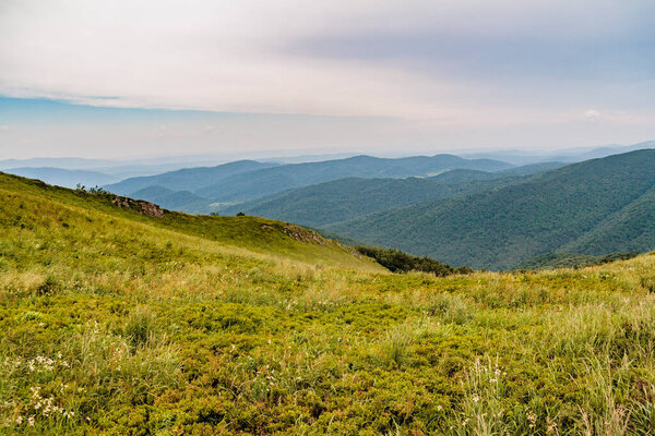 Wetlinska Polonyna in the Bieszczady Mountains in Poland