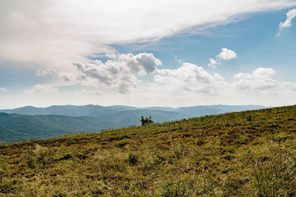 Polonya 'daki Bieszczady Dağlarında Wetlinska Polonyna