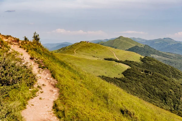 Polonya 'daki Bieszczady Dağlarında Wetlinska Polonyna