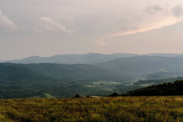 Polonya 'daki Bieszczady Dağlarında Wetlinska Polonyna
