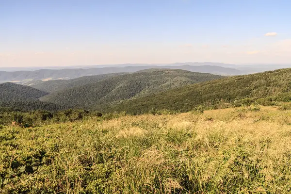 Wetlinska Polonyna Bieszczady Gebirge Polen — Stockfoto