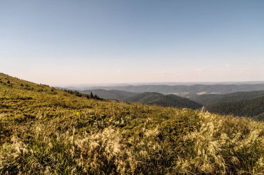 Polonya 'daki Bieszczady Dağlarında Wetlinska Polonyna