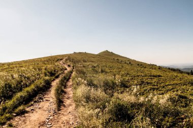 Polonya 'daki Bieszczady Dağlarında Wetlinska Polonyna