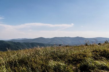 Polonya 'daki Bieszczady Dağlarında Wetlinska Polonyna