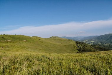 Polonya 'daki Bieszczady Dağlarında Wetlinska Polonyna