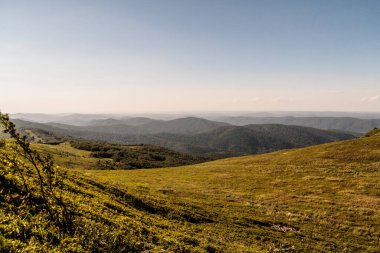 Polonya 'daki Bieszczady Dağlarında Wetlinska Polonyna