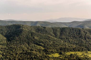 Polonya 'daki Bieszczady Dağlarında Wetlinska Polonyna