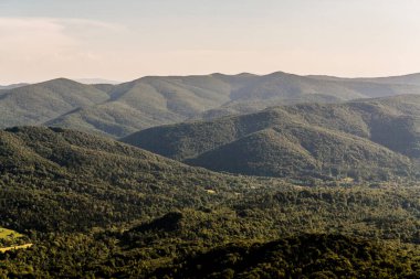 Polonya 'daki Bieszczady Dağlarında Wetlinska Polonyna