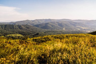 Polonya 'daki Bieszczady Dağlarında Wetlinska Polonyna