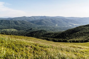 Polonya 'daki Bieszczady Dağlarında Wetlinska Polonyna