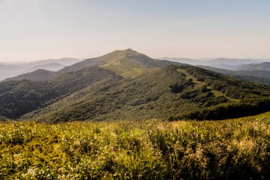 Polonya 'daki Bieszczady Dağlarında Wetlinska Polonyna