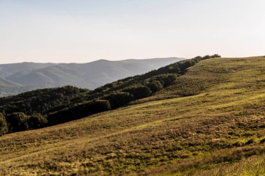 Polonya 'daki Bieszczady Dağlarında Wetlinska Polonyna