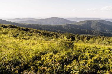 Polonya 'daki Bieszczady Dağlarında Wetlinska Polonyna
