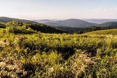 Polonya 'daki Bieszczady Dağlarında Wetlinska Polonyna