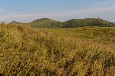 Polonya 'daki Bieszczady Dağlarında Wetlinska Polonyna