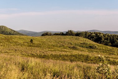 Polonya 'daki Bieszczady Dağlarında Wetlinska Polonyna