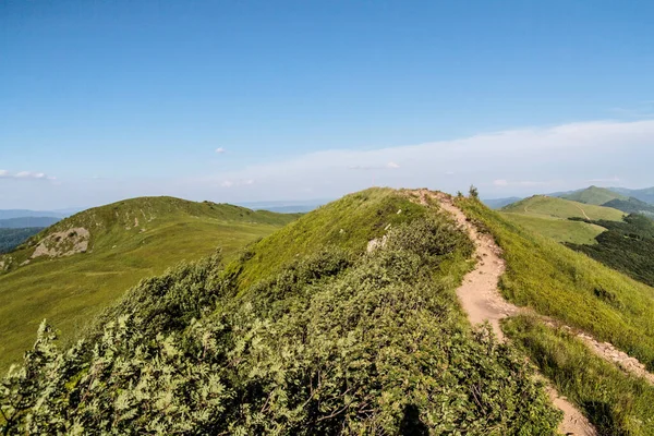 Wetlinska Polonyna Las Montañas Bieszczady Polonia — Foto de Stock