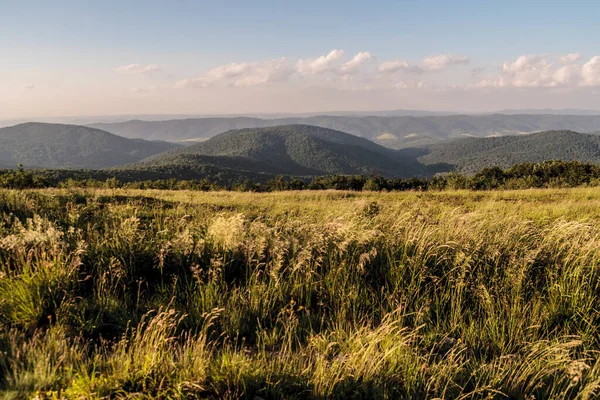 Wetlinska Polonyna Het Bieszczady Gebergte Polen — Stockfoto