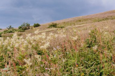 Polonya 'daki Bieszczady Dağlarında Wetlinska Polonyna