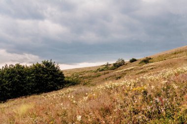 Polonya 'daki Bieszczady Dağlarında Wetlinska Polonyna