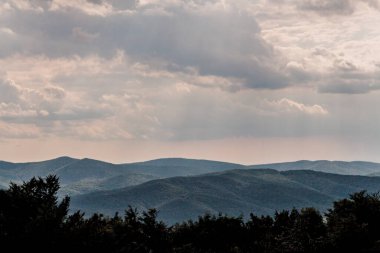 Polonya 'daki Bieszczady Dağlarında Wetlinska Polonyna