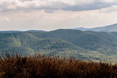 Polonya 'daki Bieszczady Dağlarında Wetlinska Polonyna