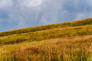 Polonya 'daki Bieszczady Dağlarında Wetlinska Polonyna