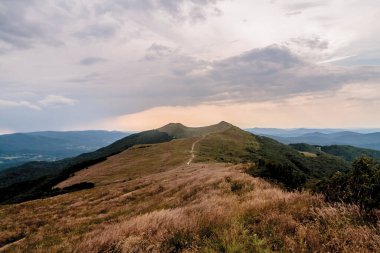 Polonya 'daki Bieszczady Dağlarında Wetlinska Polonyna