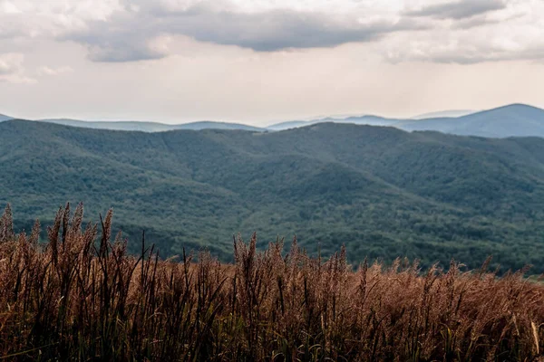 Wetlinska Polonyna Nas Montanhas Bieszczady Polônia — Fotografia de Stock