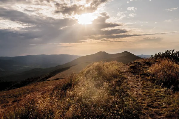 Polonya 'daki Bieszczady Dağlarında Wetlinska Polonyna
