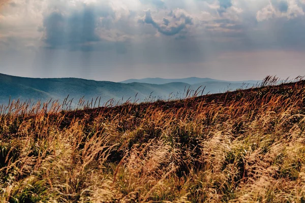 Polonya 'daki Bieszczady Dağlarında Carynska Polonyna