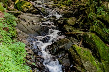Polonya 'nın Zatwarnica kentindeki Hylaty nehrinde şelale.