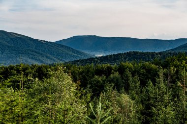 Polonya 'nın Bieszczady Dağlarındaki Dwernik Kamie Tepesinden görüntü