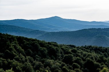 Polonya 'nın Bieszczady Dağlarındaki Dwernik Kamie Tepesinden görüntü