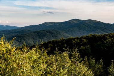 Polonya 'nın Bieszczady Dağlarındaki Dwernik Kamie Tepesinden görüntü