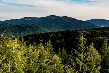 Polonya 'nın Bieszczady Dağlarındaki Dwernik Kamie Tepesinden görüntü