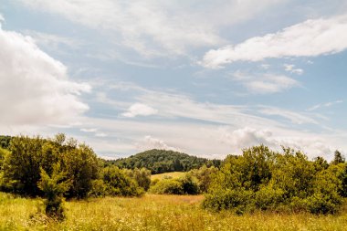 Wola Michowa Polonya 'daki Bieszczady Dağları' nda