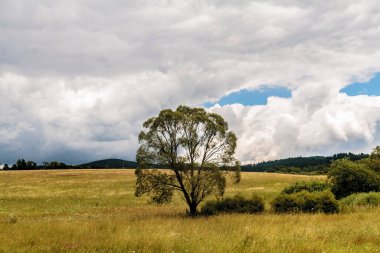 Polonya 'daki Bieszczady Dağları' ndaki Oslawa Nehri 'nde Smolnik.
