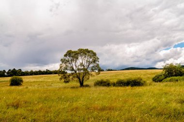 Polonya 'daki Bieszczady Dağları' ndaki Oslawa Nehri 'nde Smolnik.