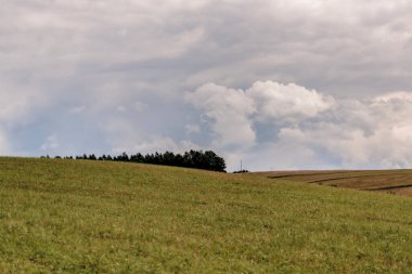 Polonya 'daki Bieszczady Dağları' ndaki Oslawa Nehri 'nde Smolnik.
