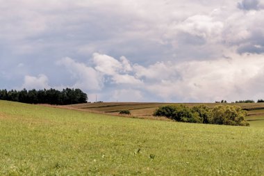 Polonya 'daki Bieszczady Dağları' ndaki Oslawa Nehri 'nde Smolnik.