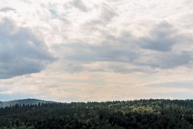 Polonya 'daki Bieszczady Dağları' ndaki Oslawa Nehri 'nde Smolnik.