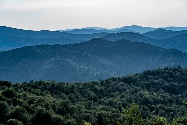 Polonya 'nın Bieszczady Dağlarındaki Dwernik Kamie Tepesinden görüntü