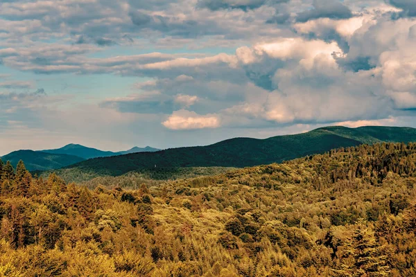 Bieszczady Dağları 'ndaki Cisna yakınlarındaki Szczerbanwka gözlem kulesinden görüntü