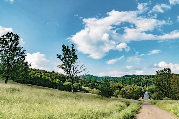 Lopienka - Bieszczady Dağları 'nın eski bir köyü- 1947 yılında komünist Polonyalı yetkililer tarafından yerlerinden edildi.