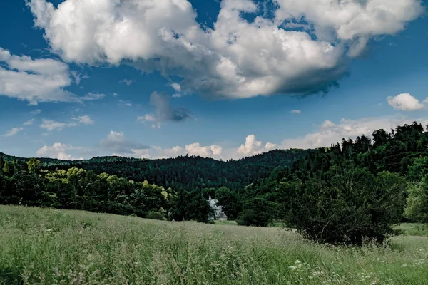 Lopienka Ein Ehemaliges Dorf Bieszczady Gebirge Seine Einwohner Wurden 1947 — Stockfoto